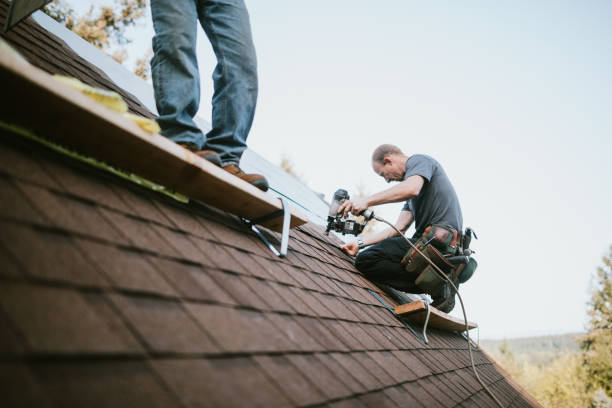 Best Roof Leak Repair  in Benson, NC